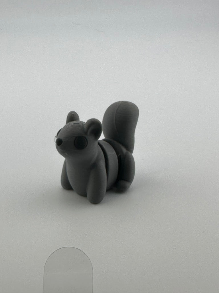 Squirrel