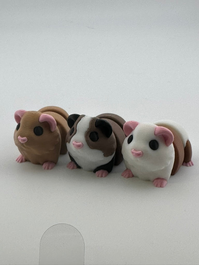 Guinea Pigs (Assorted Colors)