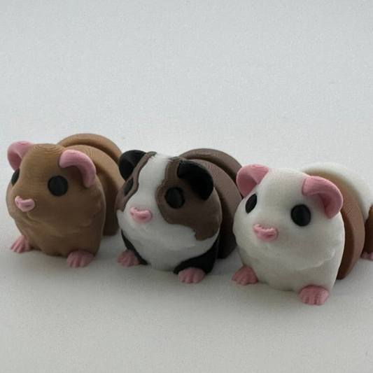 Guinea Pigs (Assorted Colors)