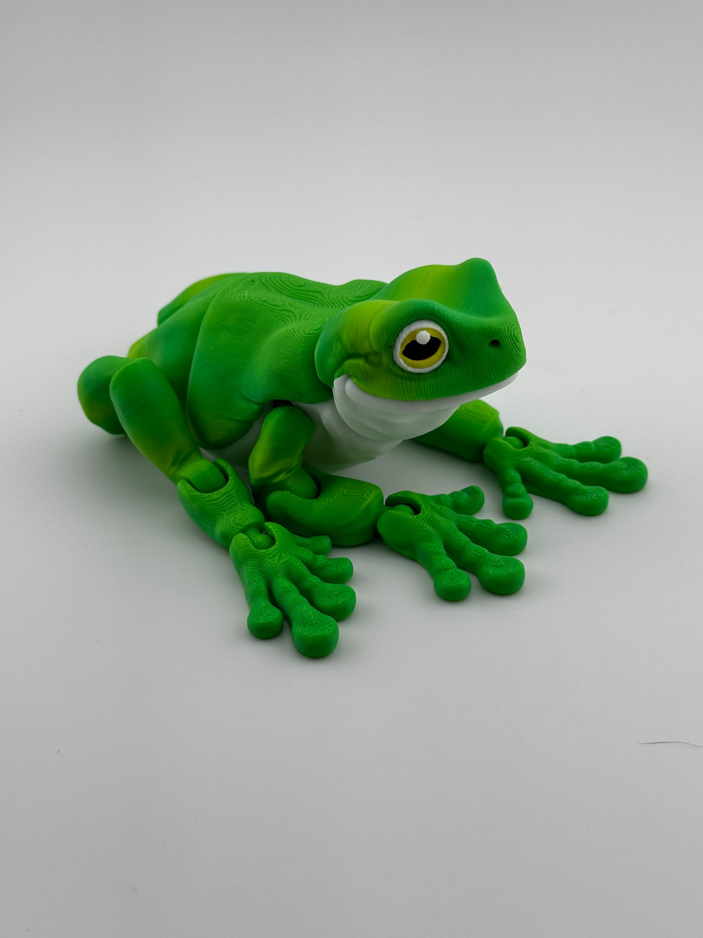 Tree Frog