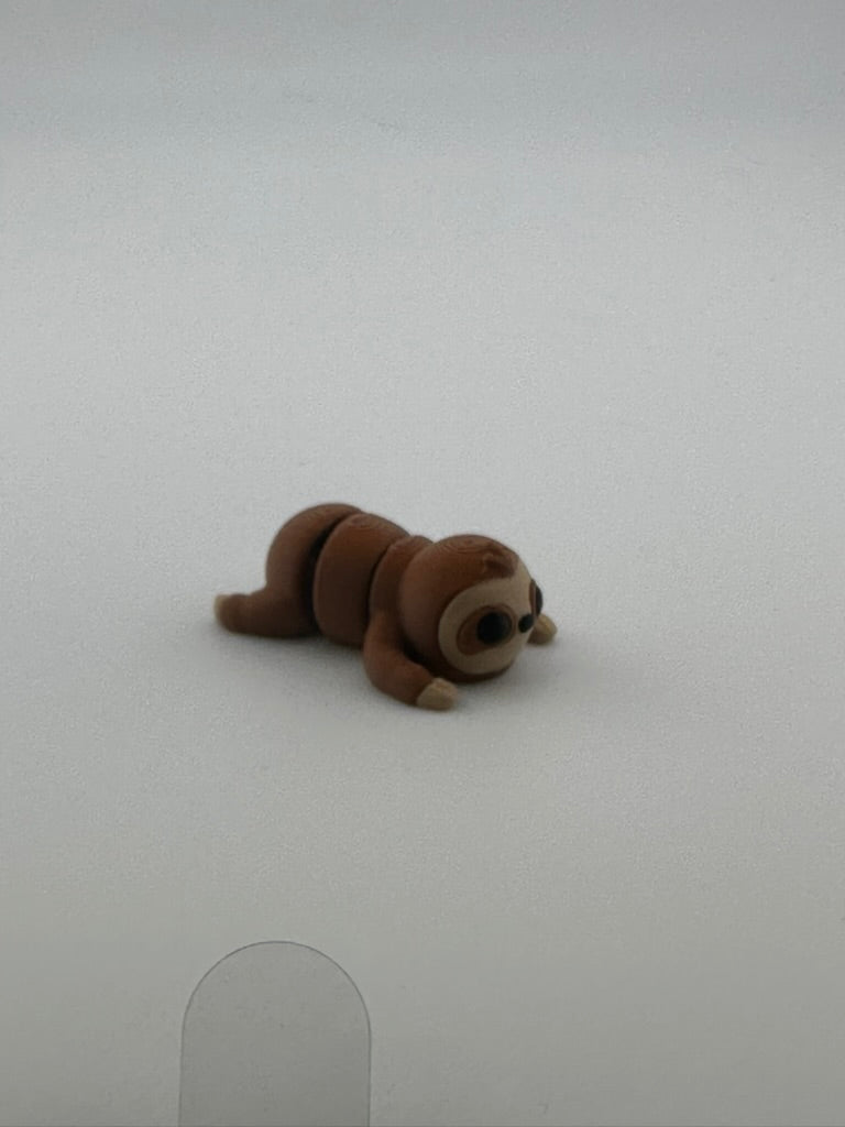 Baby Sloth