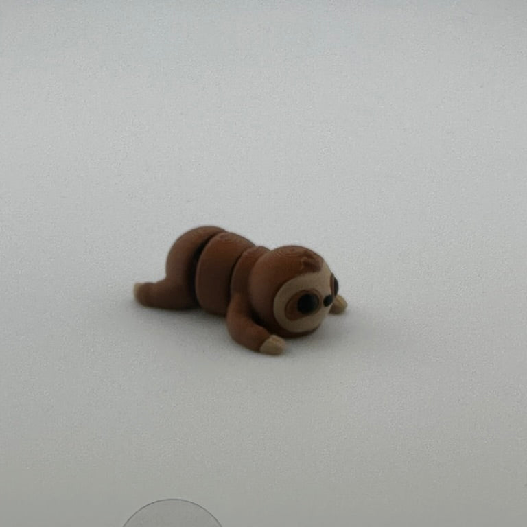Baby Sloth