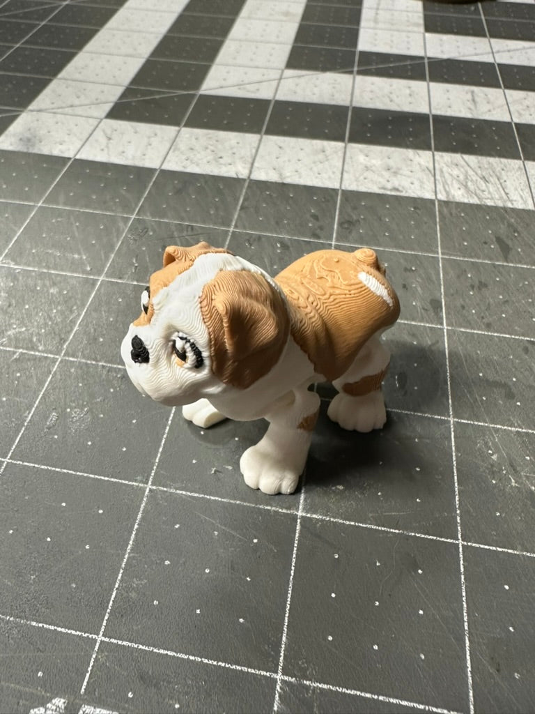 Bulldog Dog