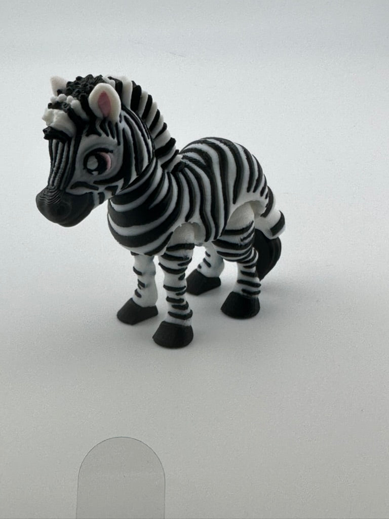 Zebra