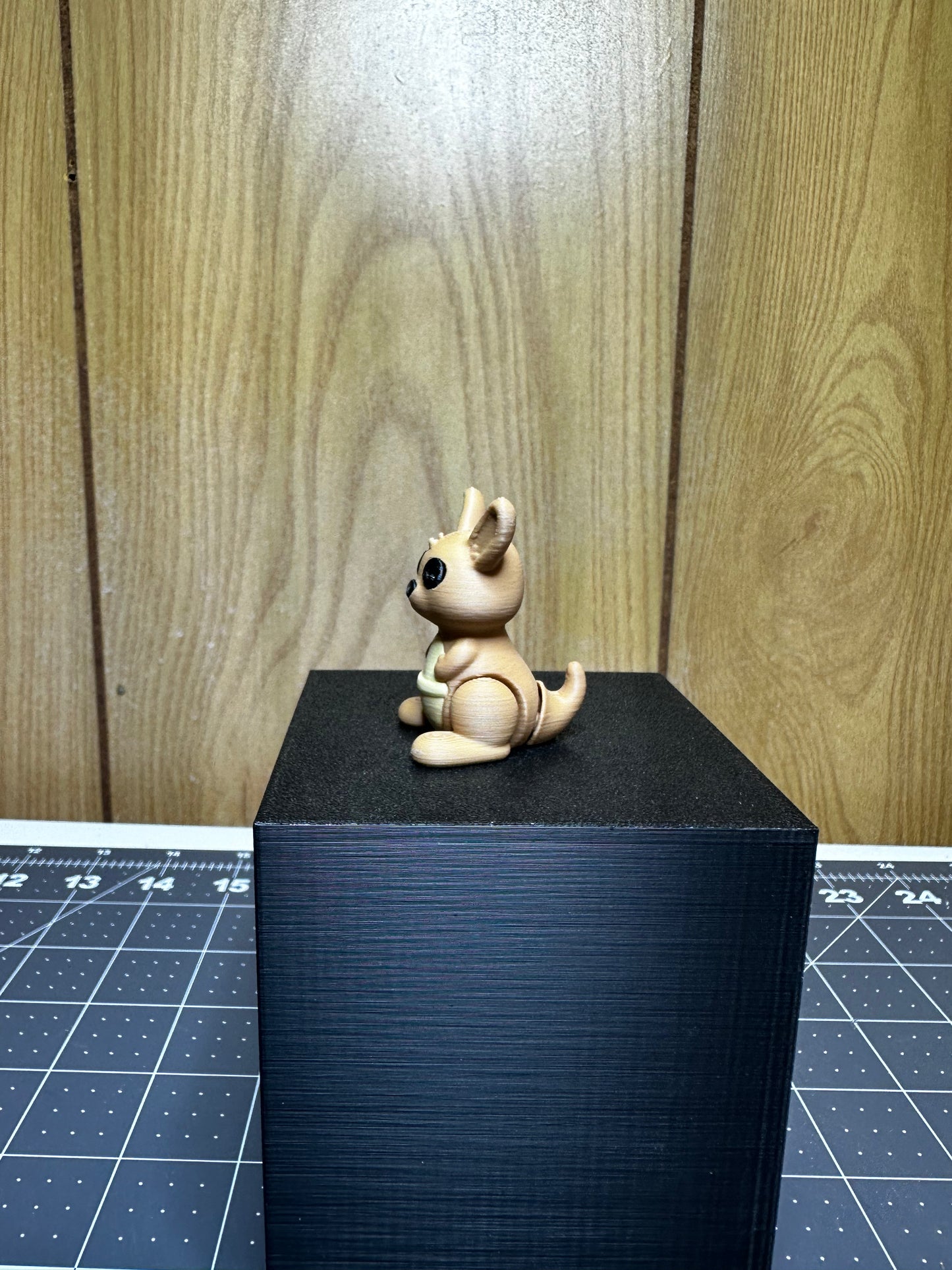 Kangaroo