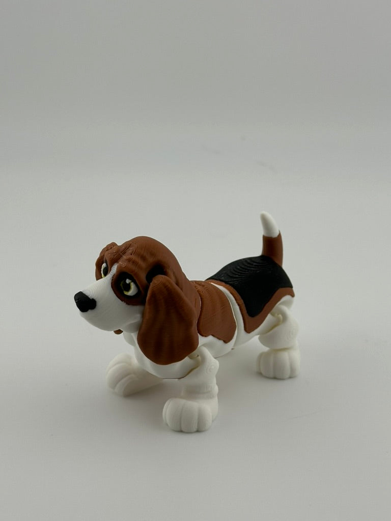 Bassett Hound Dog
