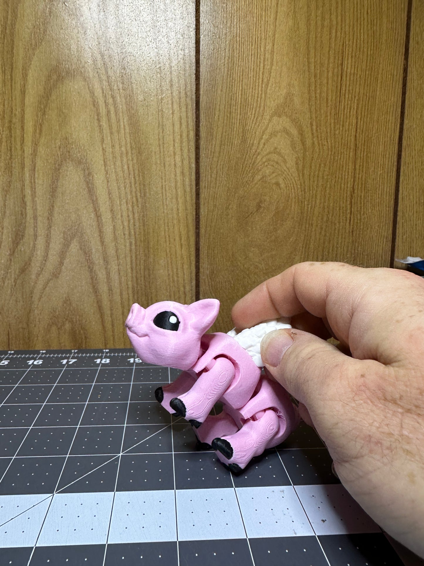 Flying Pig