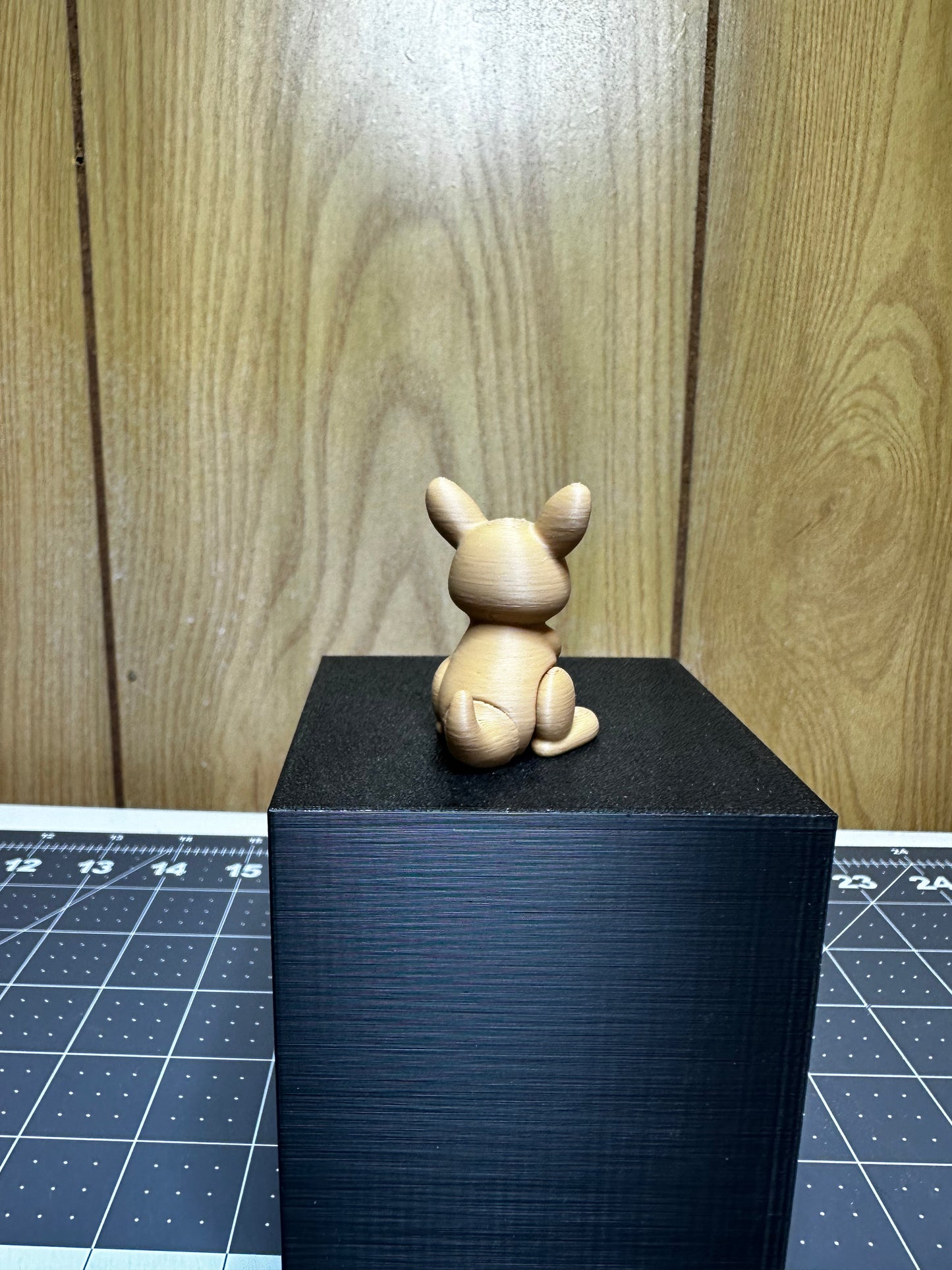 Kangaroo