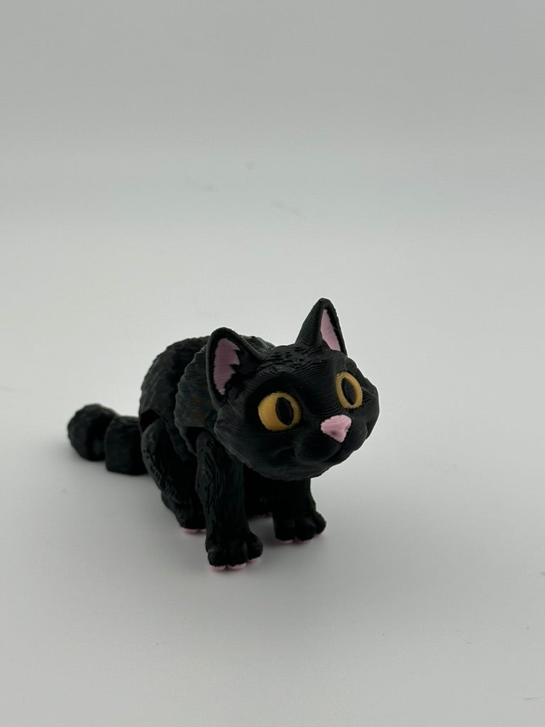 Black Slit Eye Cat