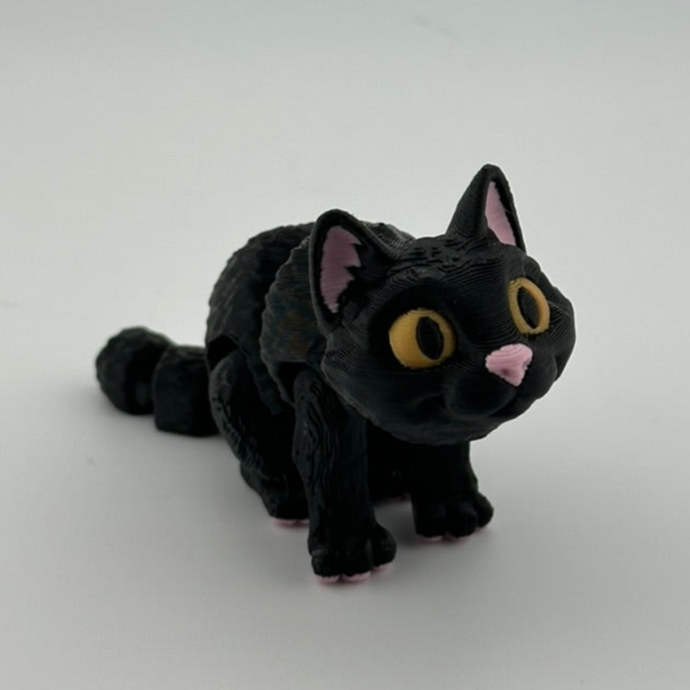Black Slit Eye Cat