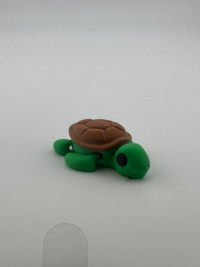 Turtle