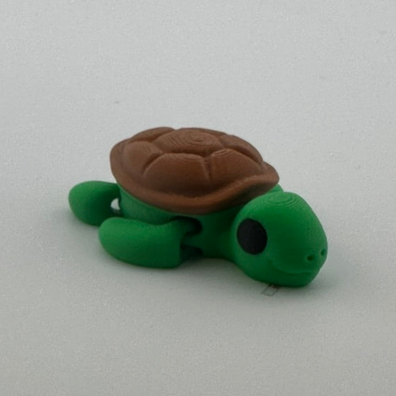 Turtle