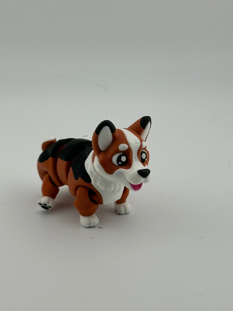 Corgi Dog