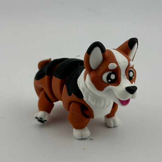 Corgi Dog