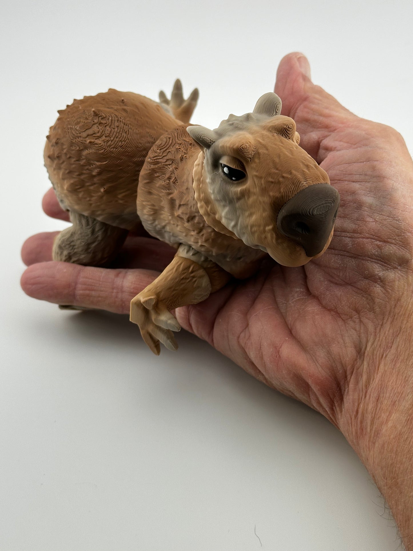 Capybara