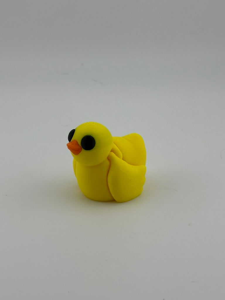 Duck