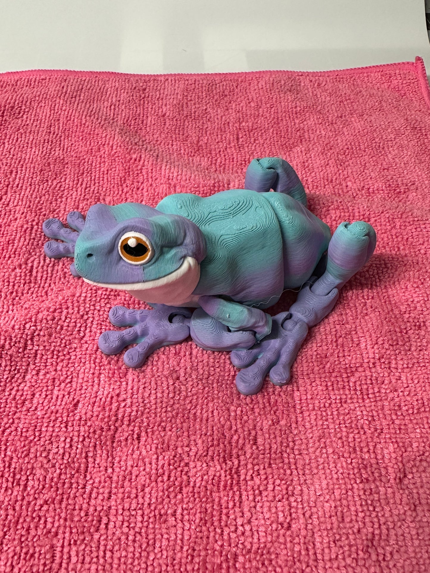 Tree Frog
