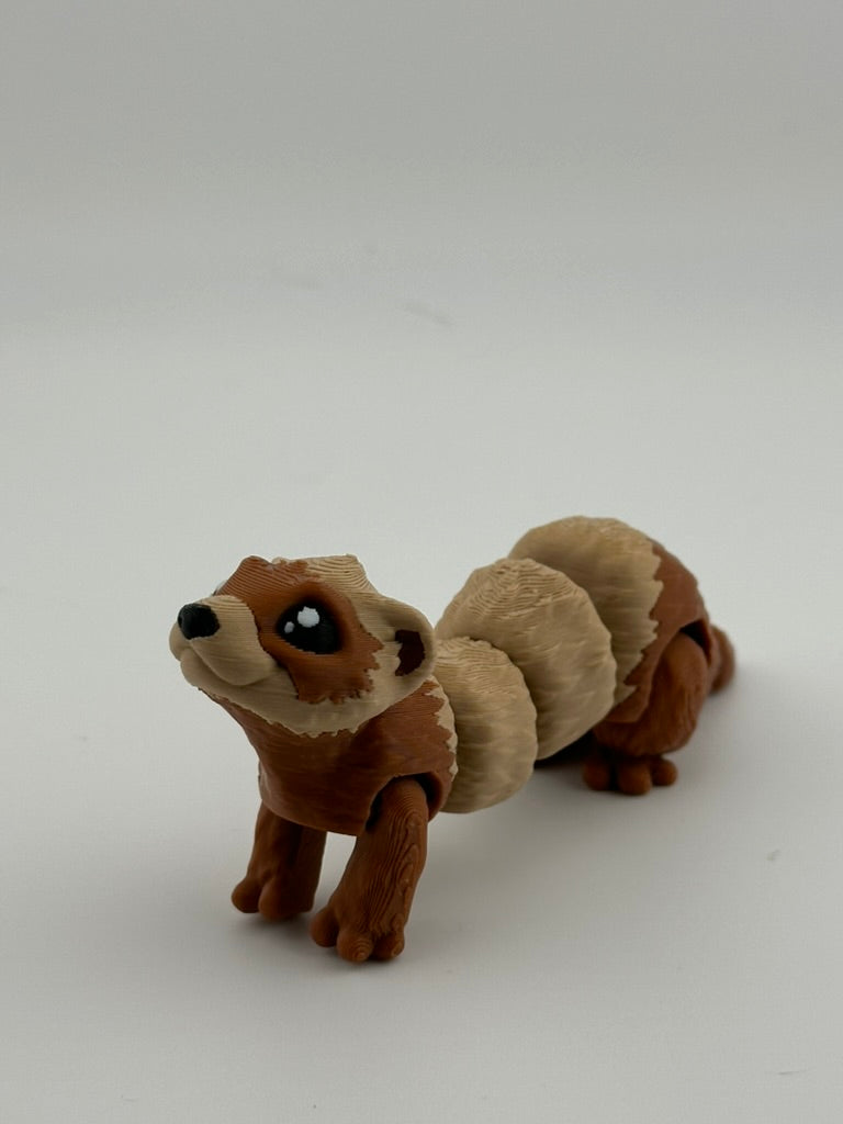 Ferret