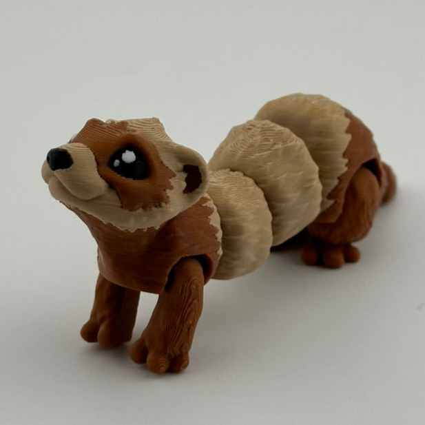 Ferret