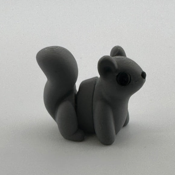 Squirrel