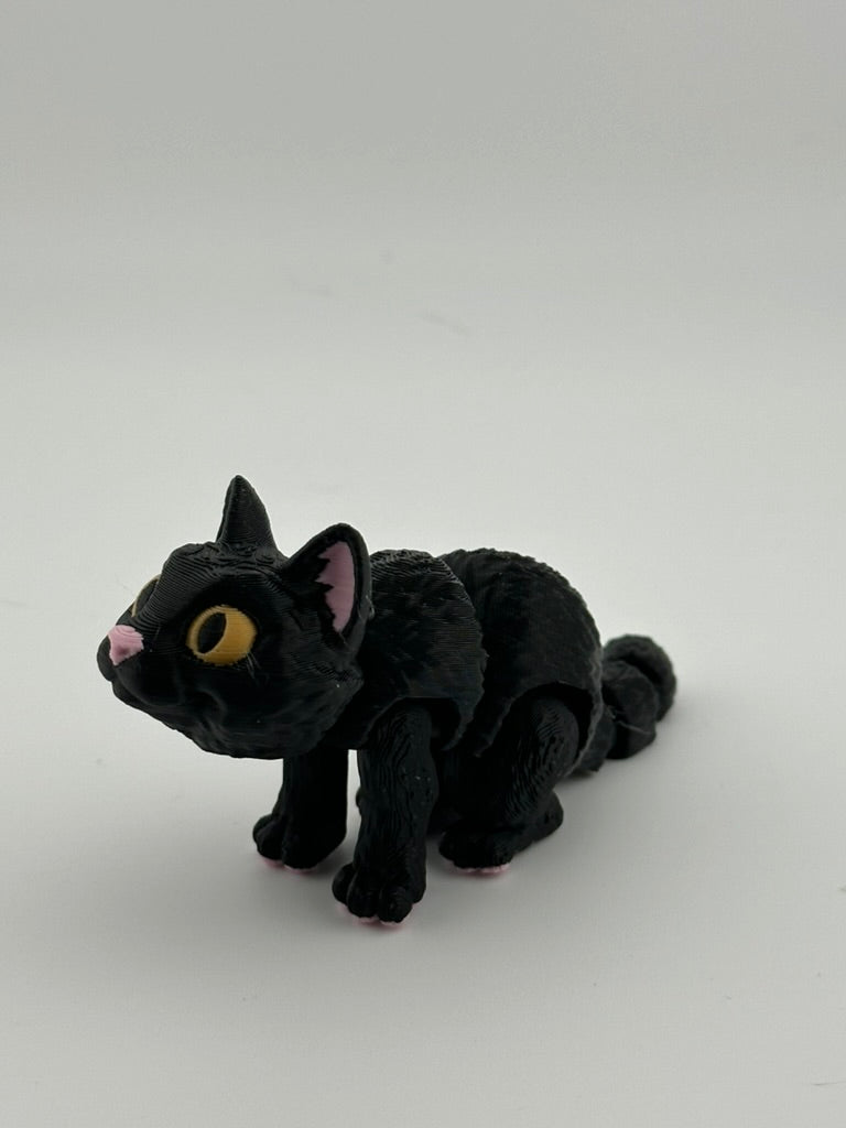 Black Slit Eye Cat