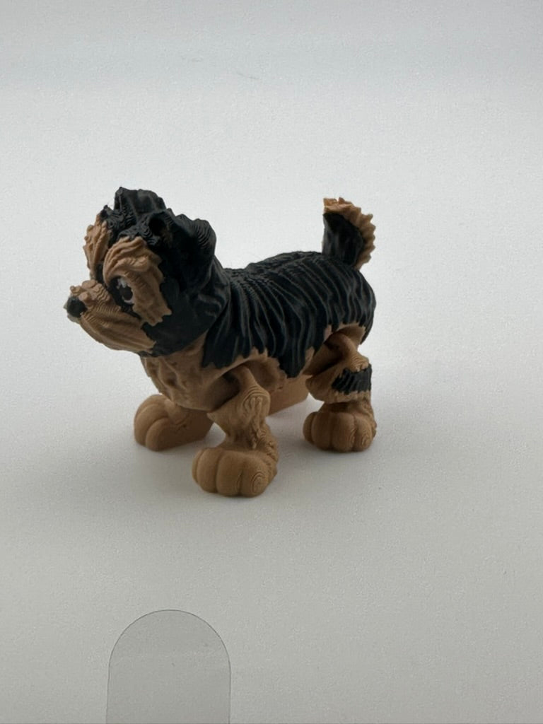 Yorkie Dog (floppy ears)