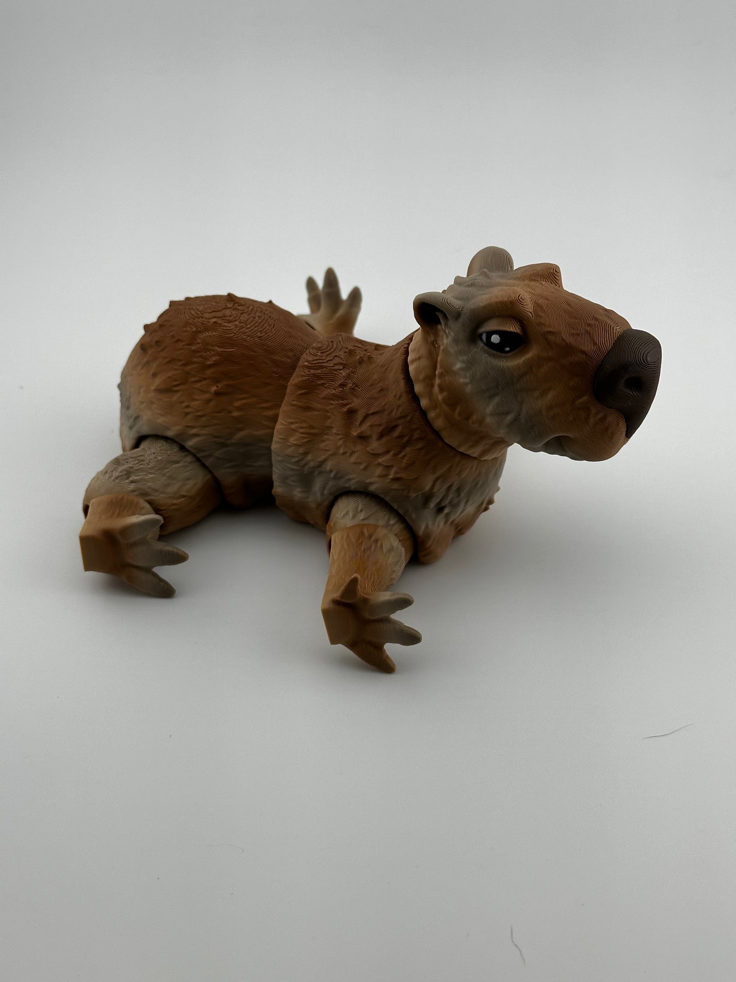 Capybara