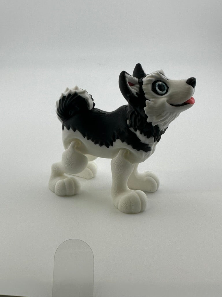 Husky Dog