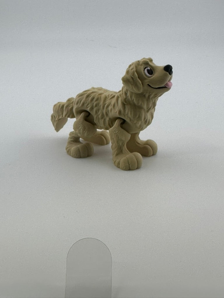 Golden retriever dog
