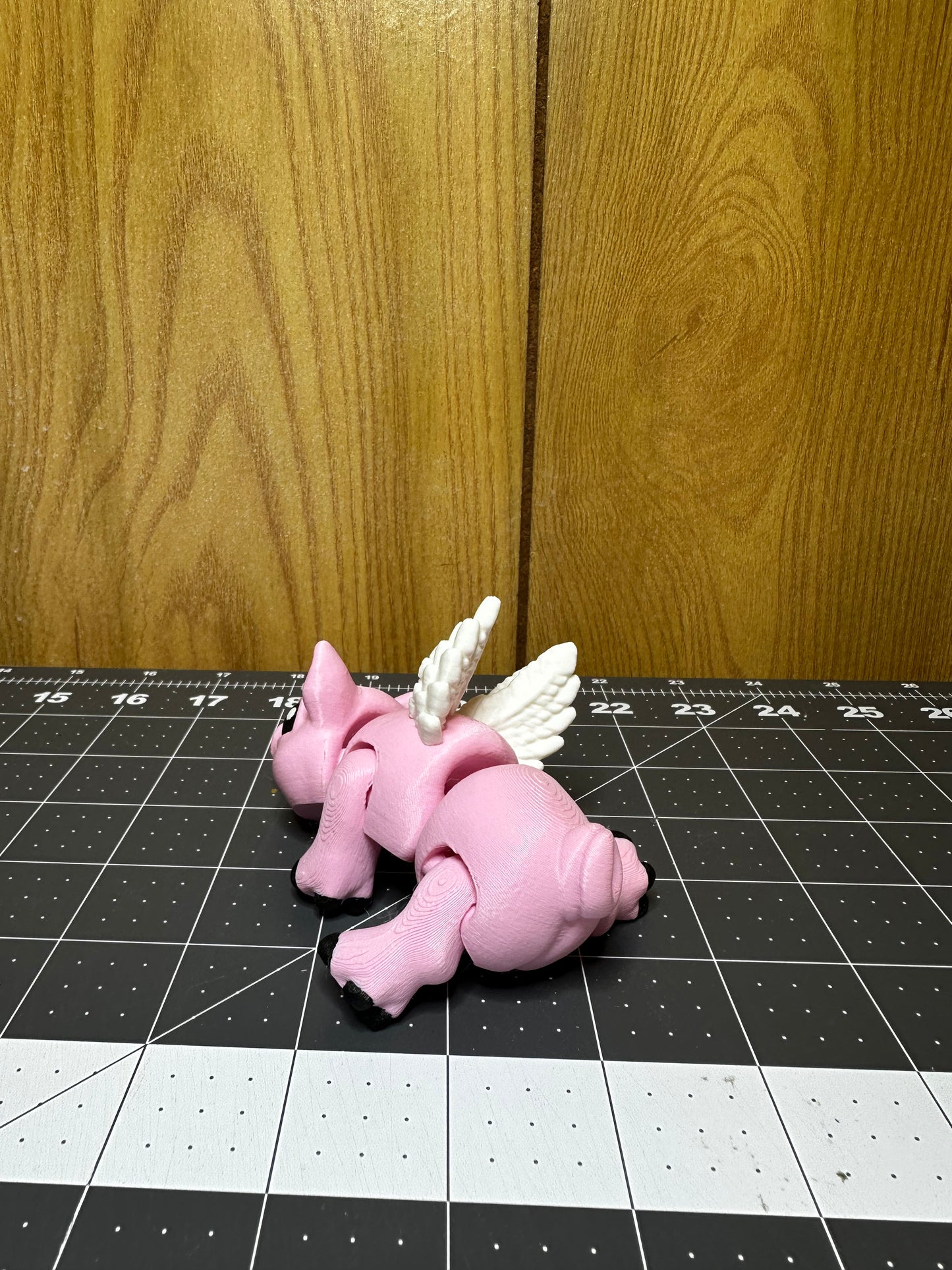 Flying Pig