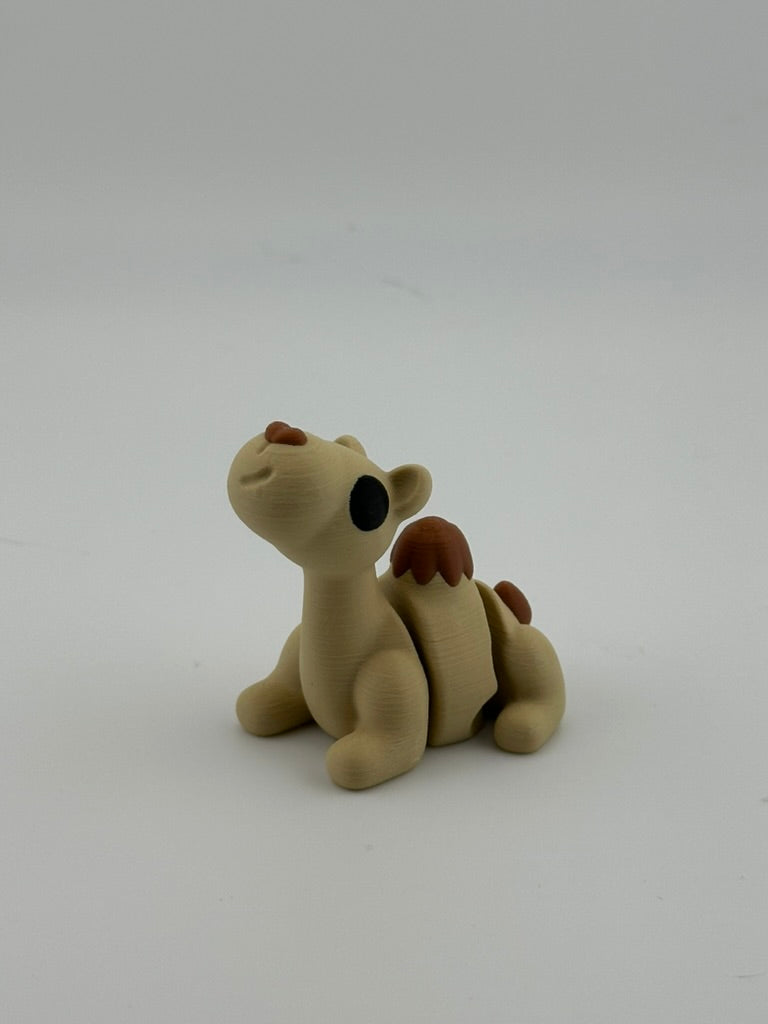 Camel