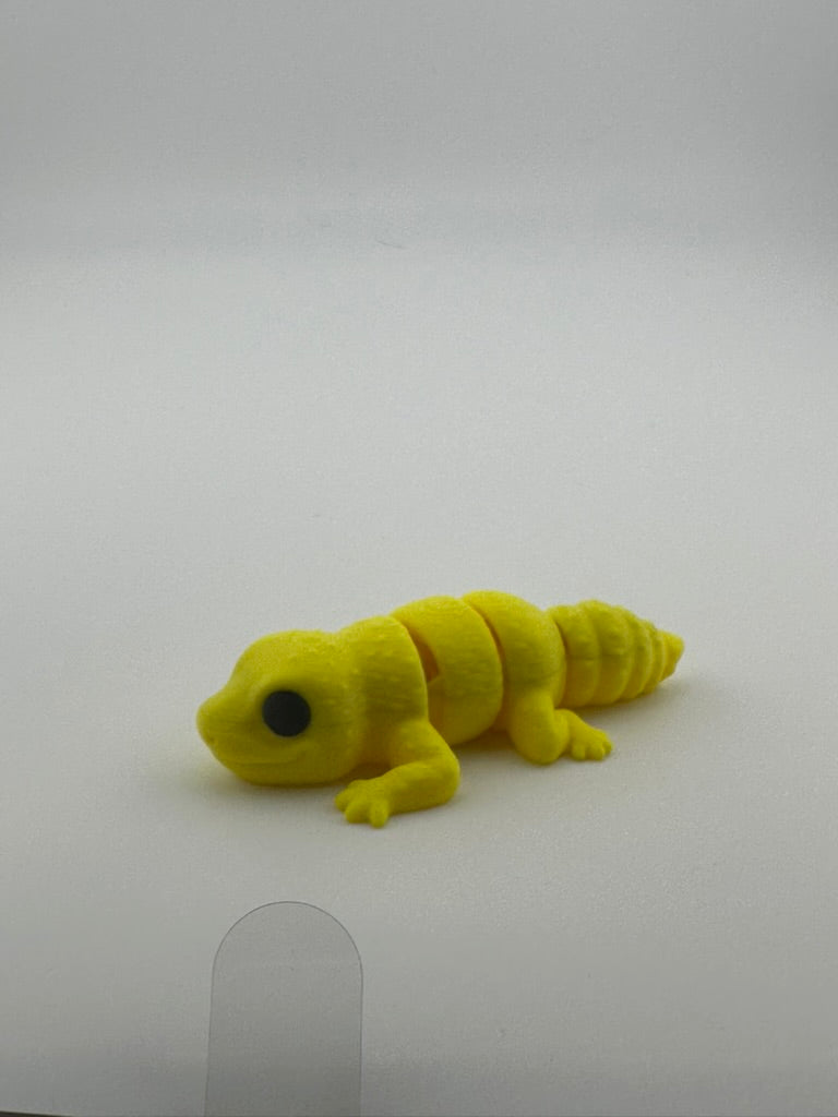 Leopard Gecko