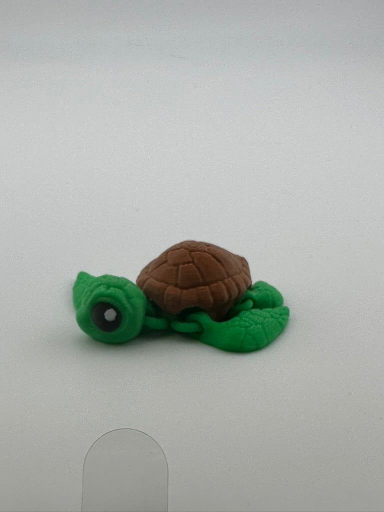 Sea Turtle