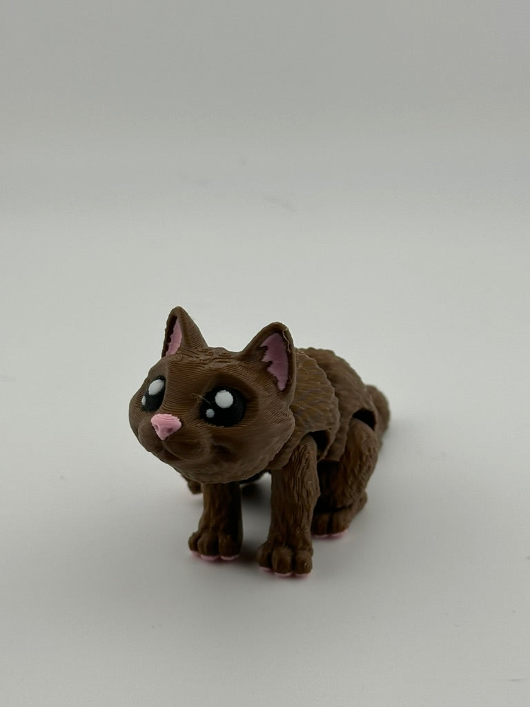 Brown Glint Eye Cat