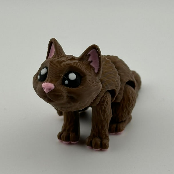 Brown Glint Eye Cat