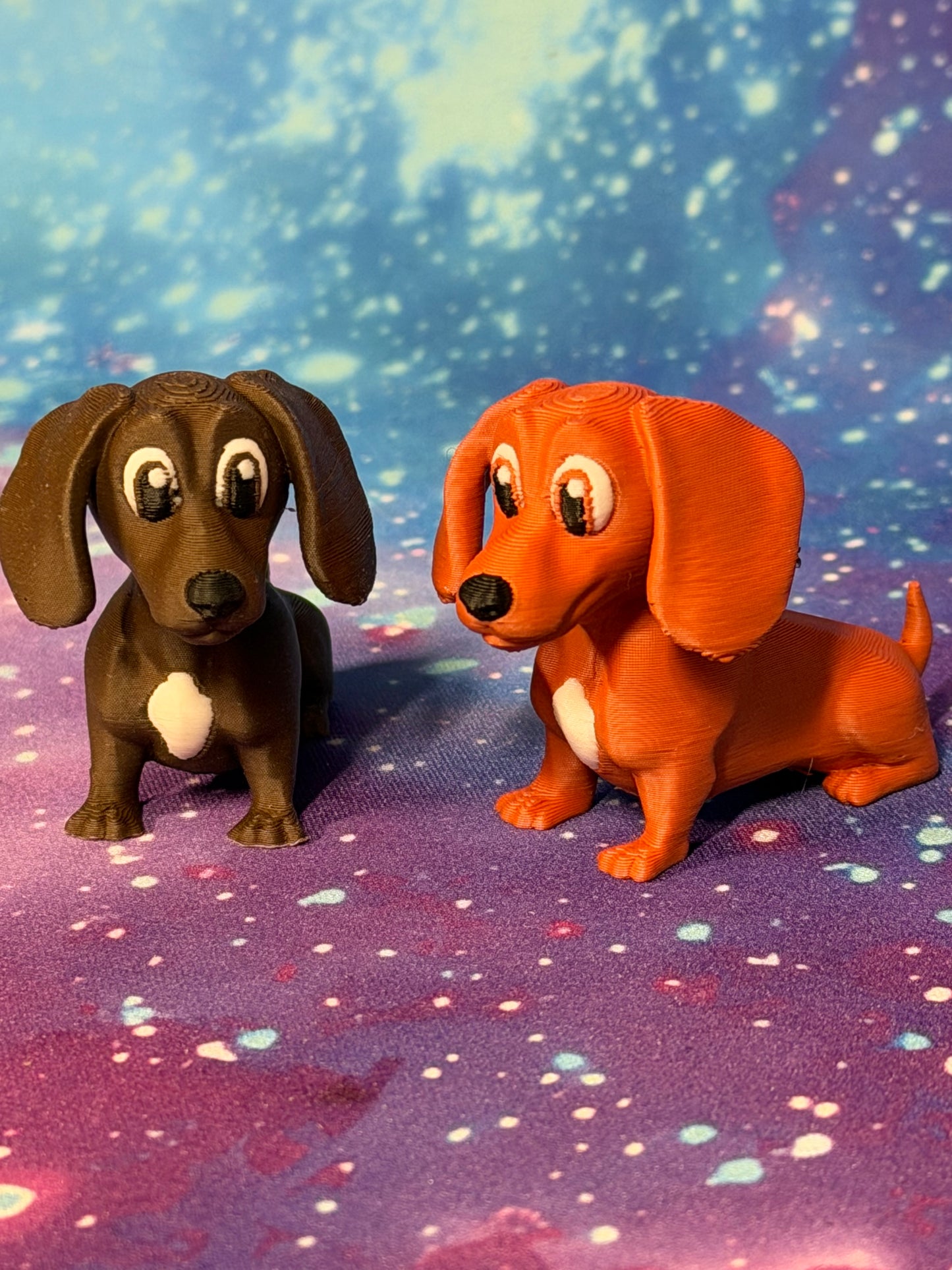 Dachshund Puppy by MISC Dogs