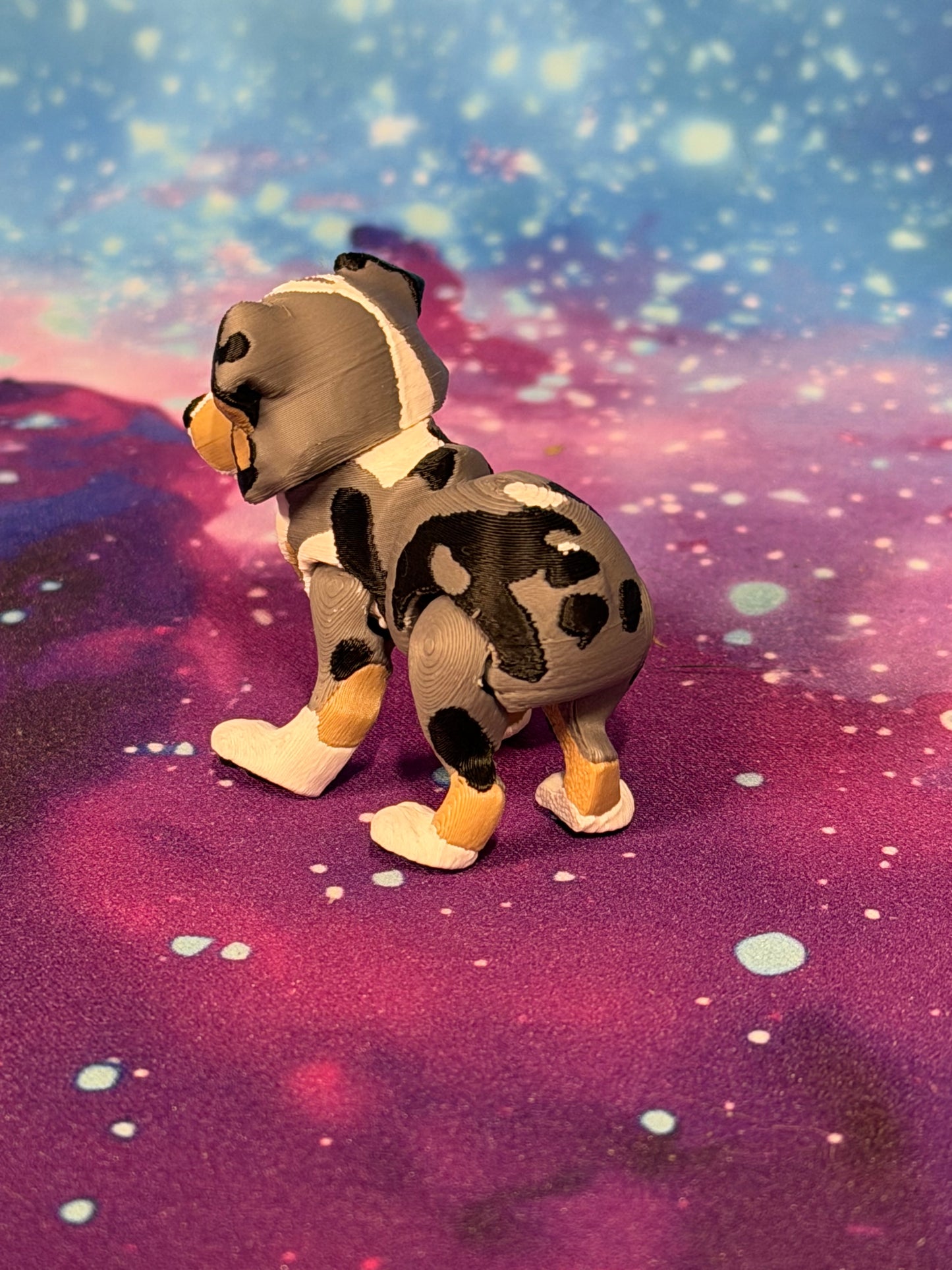 Australian Shepherd by Ludo