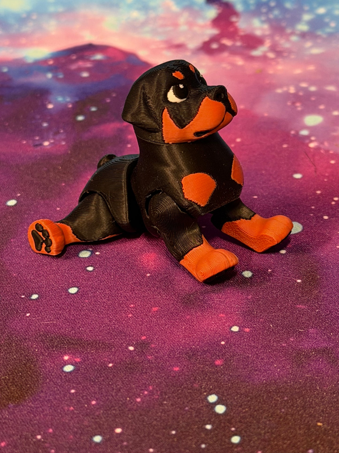 Rottweiler by Ludo