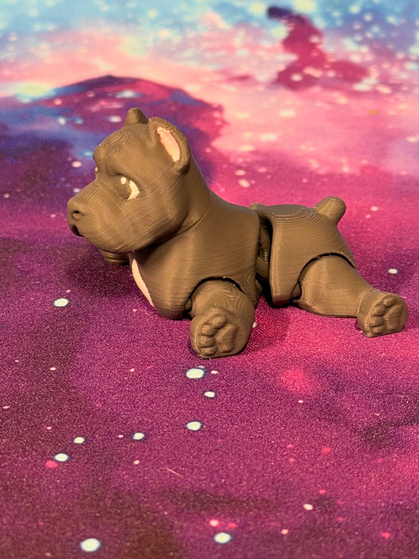 Cane Corso by Ludo