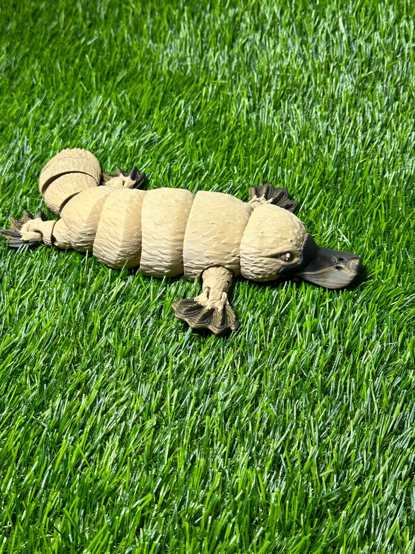 Large Platypus