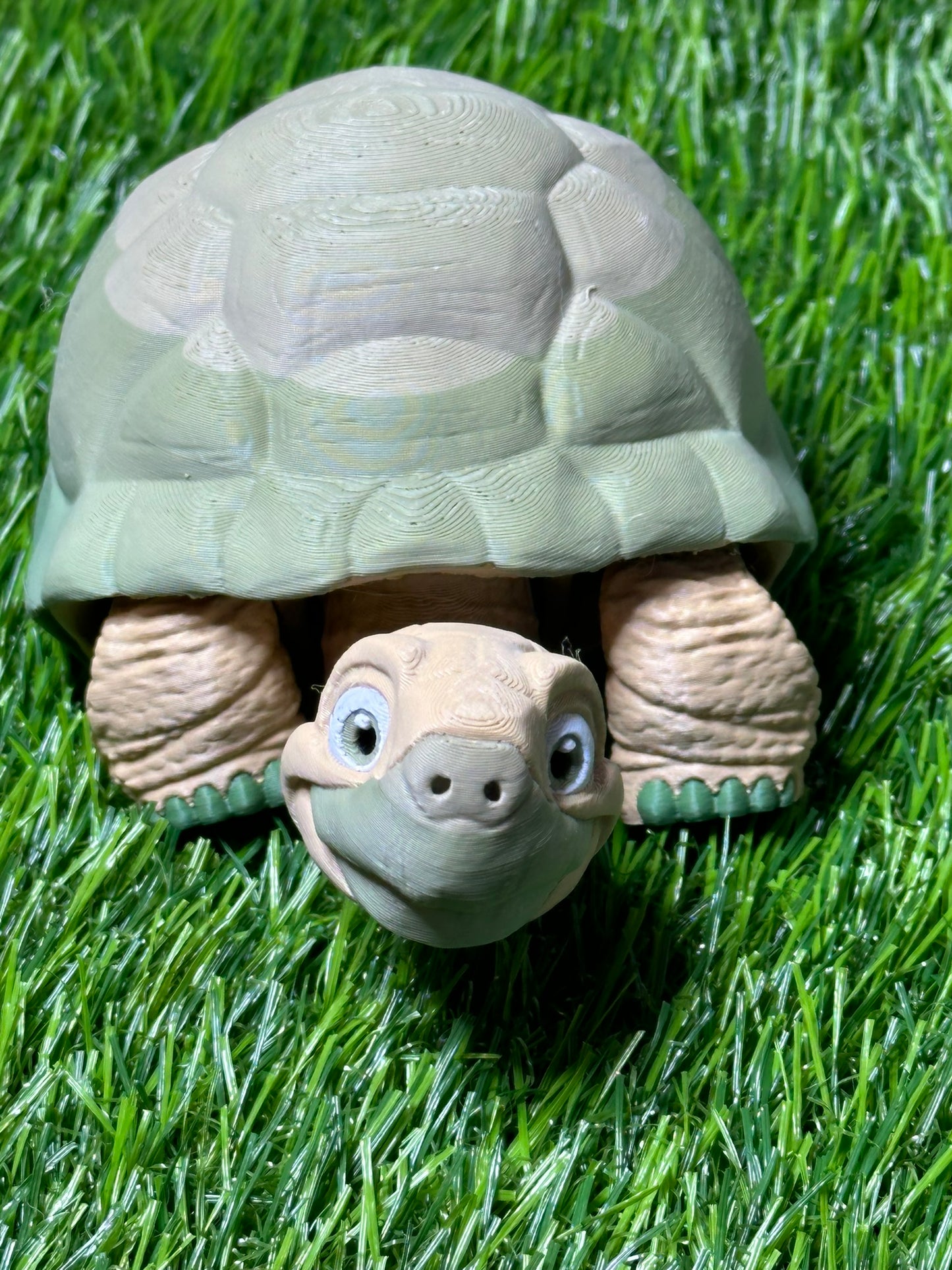 Poseable Tortoise Model