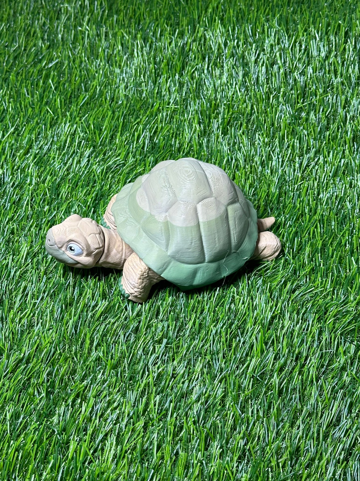 Poseable Tortoise Model