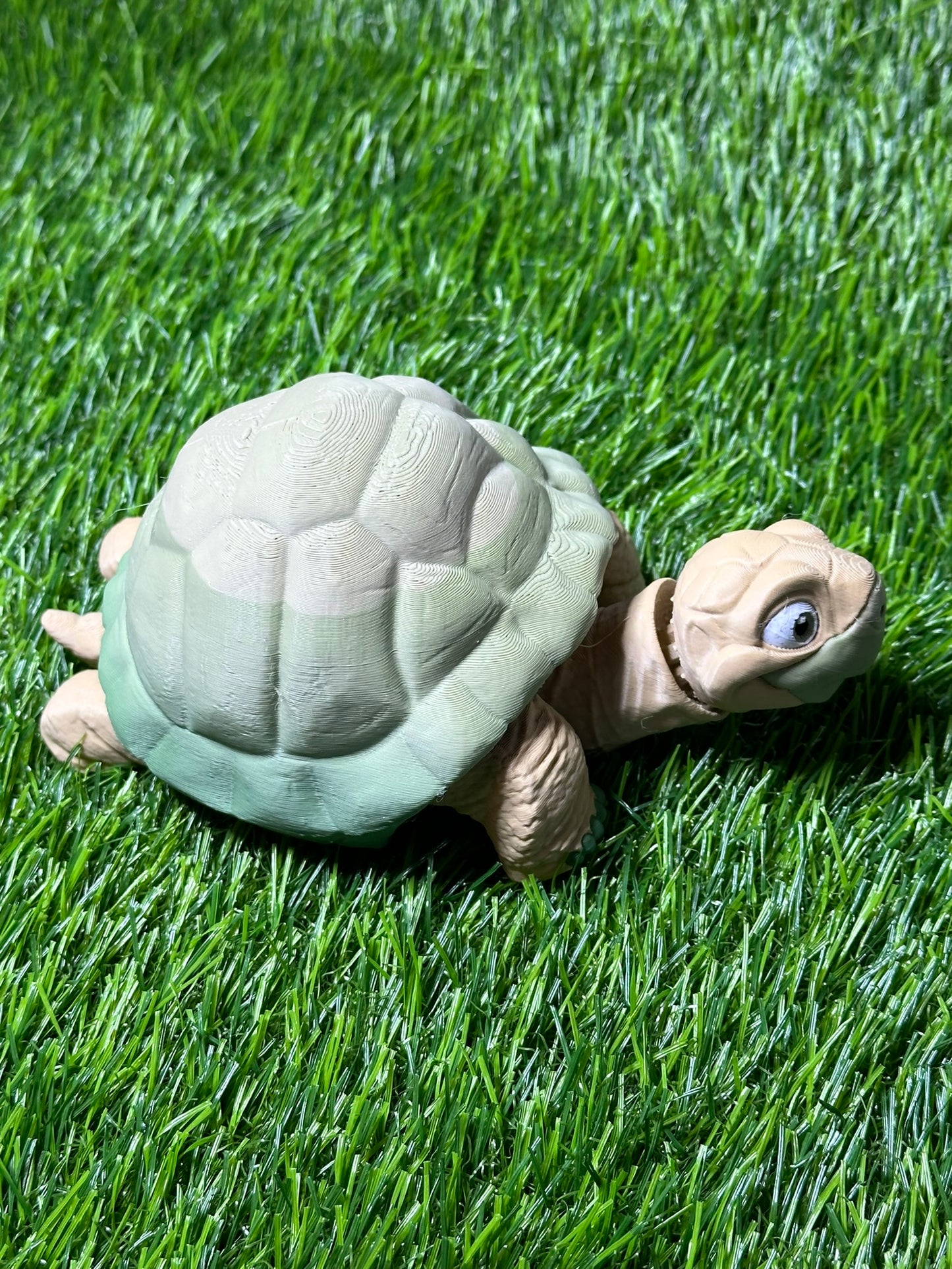 Poseable Tortoise Model
