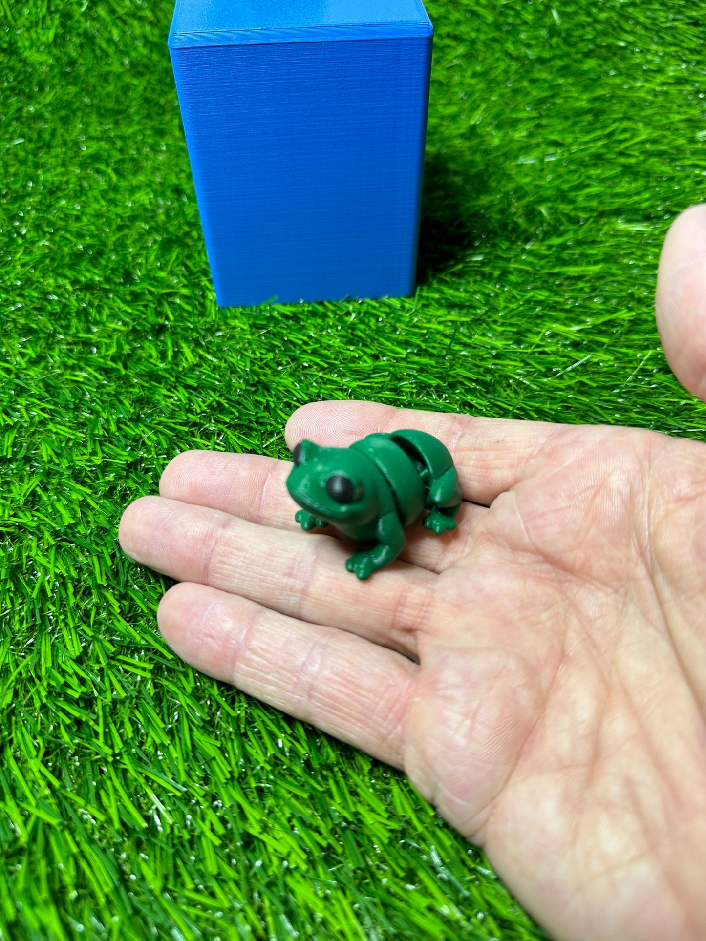Frog Articulating Fidget Animal