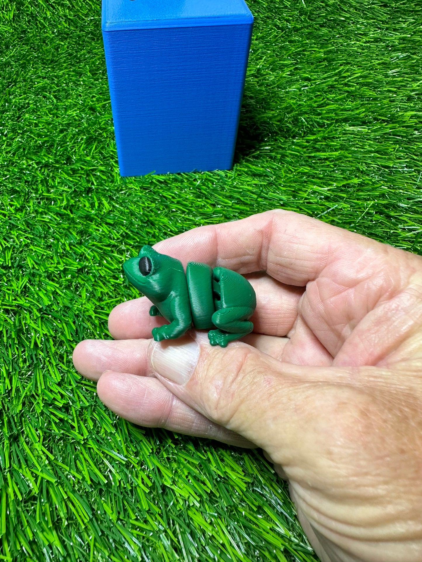 Frog Articulating Fidget Animal