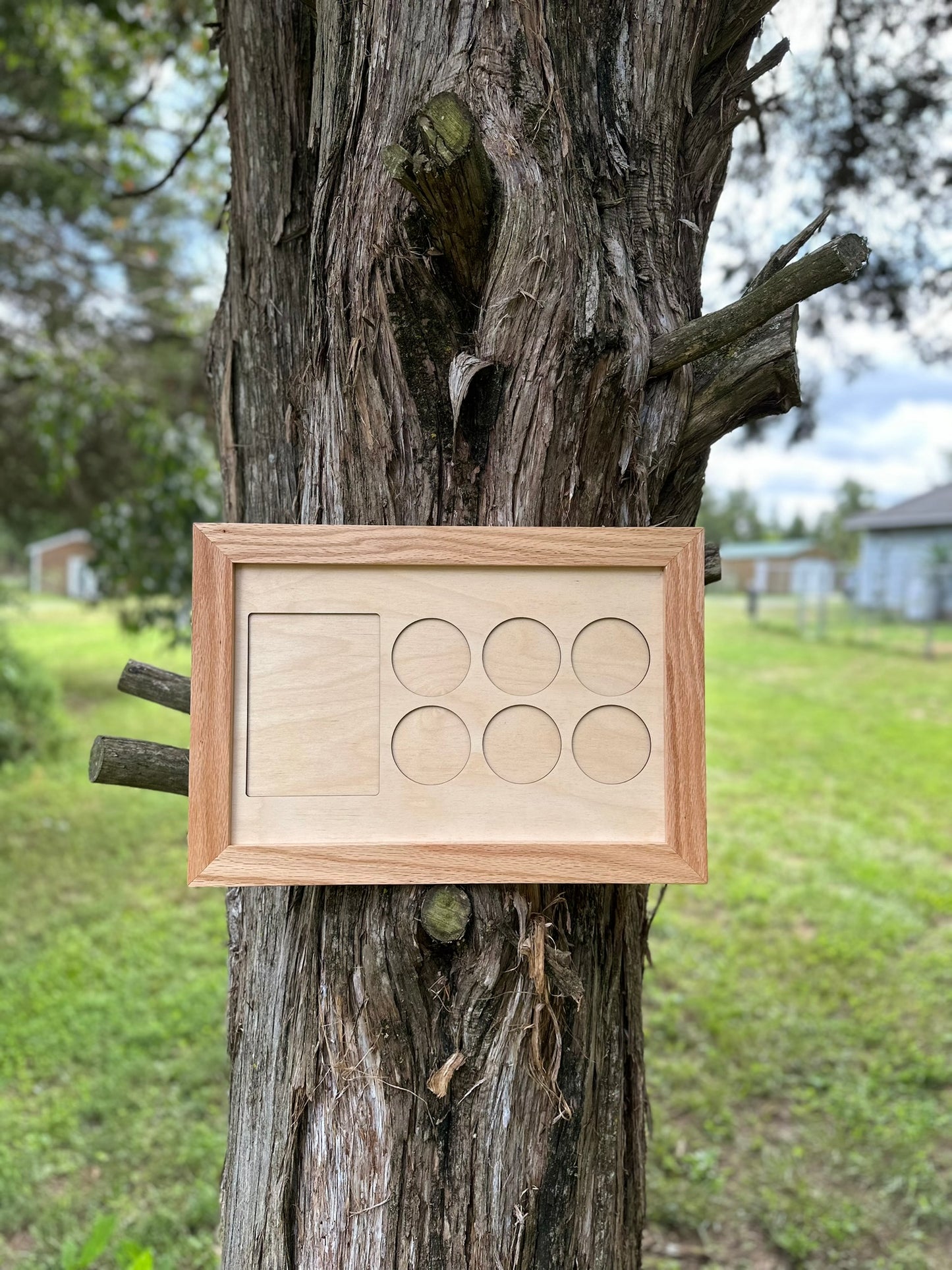 11x17 Horse Medal Display in Natural