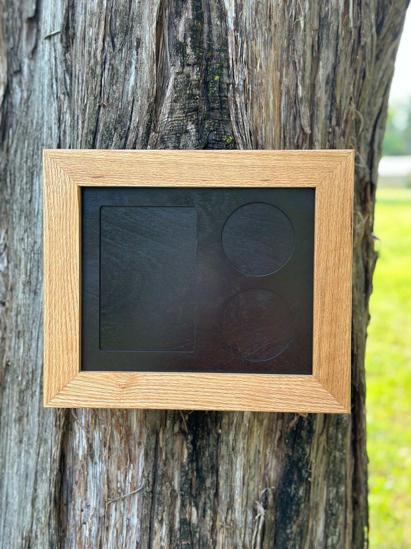 8x10 Horse Medal Display in Black