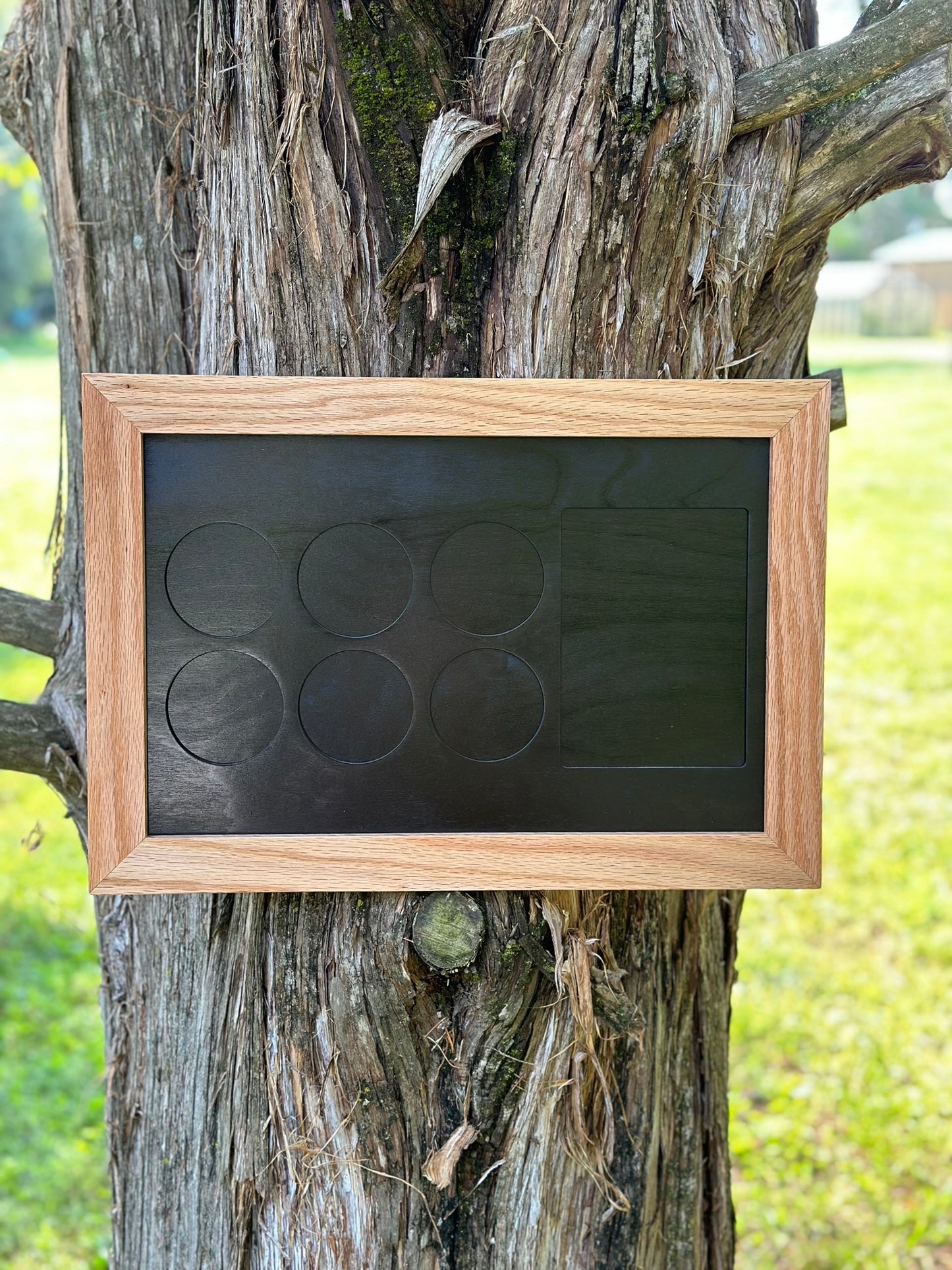 11x17 Horse Medal Display in Black