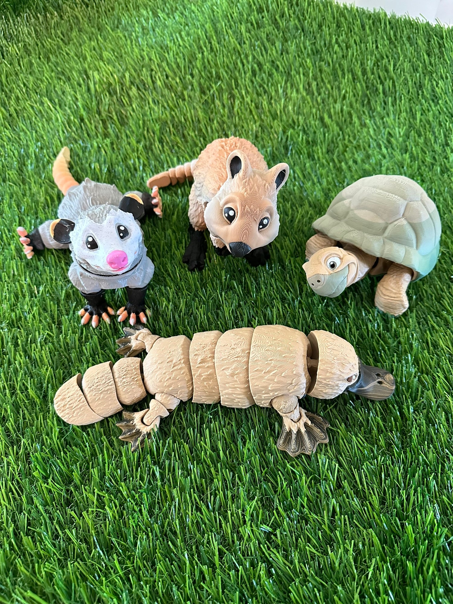 Large Animals