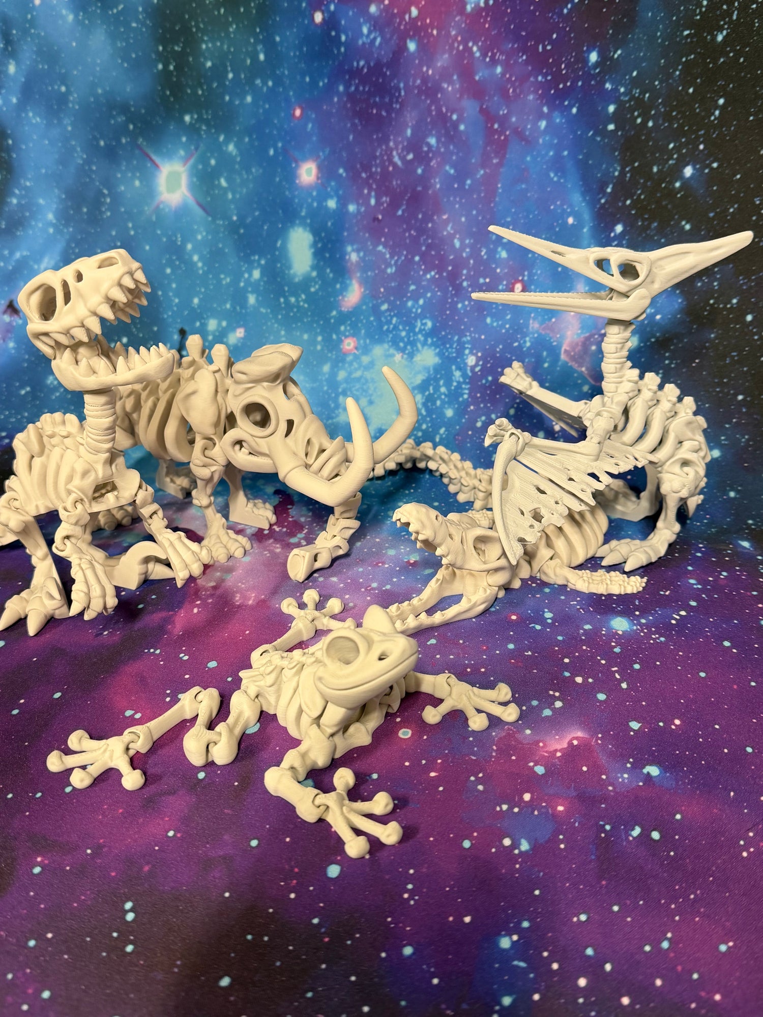 Group of skeleton picture